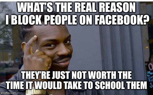 Logic thinker | WHAT’S THE REAL REASON I BLOCK PEOPLE ON FACEBOOK? THEY’RE JUST NOT WORTH THE TIME IT WOULD TAKE TO SCHOOL THEM | image tagged in logic thinker | made w/ Imgflip meme maker