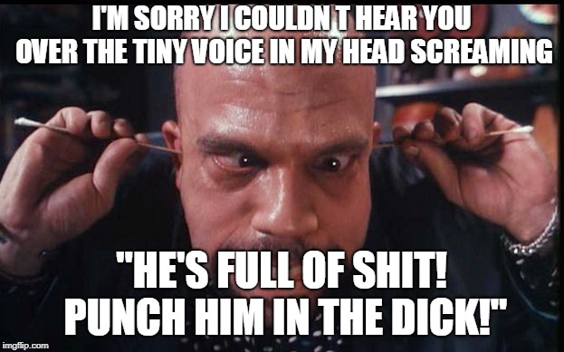 Voices | I'M SORRY I COULDN
T HEAR YOU OVER THE TINY VOICE IN MY HEAD SCREAMING; "HE'S FULL OF SHIT! PUNCH HIM IN THE DICK!" | image tagged in voices,memes | made w/ Imgflip meme maker