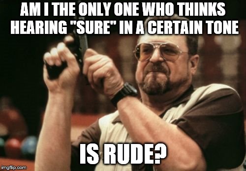 It's almost 2019 for goodness sake | AM I THE ONLY ONE WHO THINKS HEARING "SURE" IN A CERTAIN TONE; IS RUDE? | image tagged in memes,am i the only one around here,annoying people | made w/ Imgflip meme maker