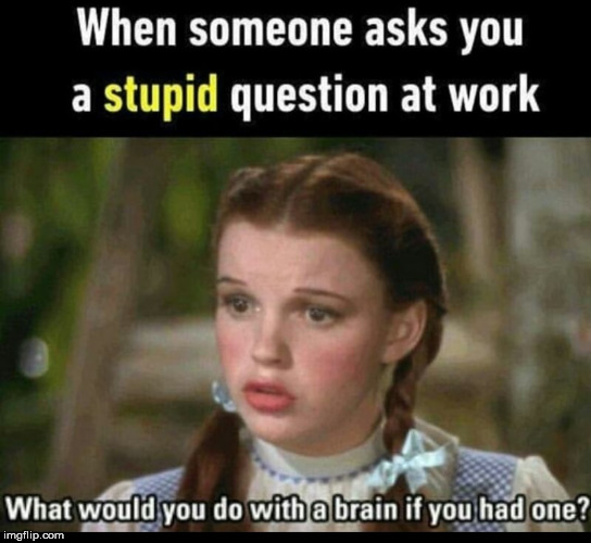 Stupid coworkers. | image tagged in memes,coworkers,stupid people,brain,funny,dumb | made w/ Imgflip meme maker