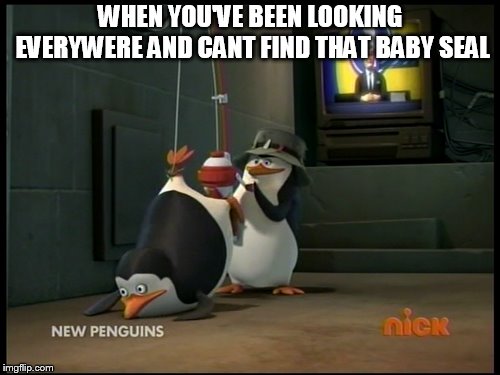 WHEN YOU'VE BEEN LOOKING EVERYWERE AND CANT FIND THAT BABY SEAL | image tagged in penguin | made w/ Imgflip meme maker