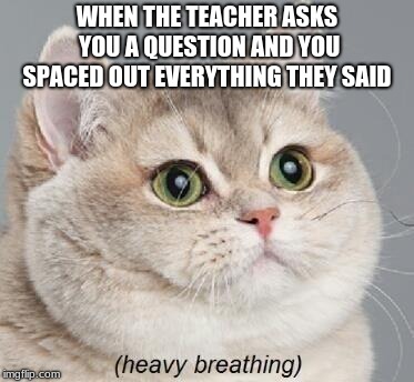 Heavy Breathing Cat Meme | WHEN THE TEACHER ASKS YOU A QUESTION AND YOU SPACED OUT EVERYTHING THEY SAID | image tagged in memes,heavy breathing cat | made w/ Imgflip meme maker