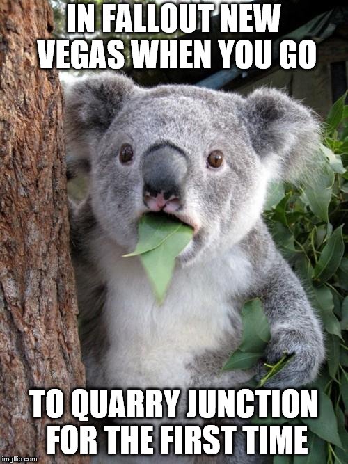 Surprised Koala | IN FALLOUT NEW VEGAS WHEN YOU GO; TO QUARRY JUNCTION FOR THE FIRST TIME | image tagged in memes,surprised koala | made w/ Imgflip meme maker