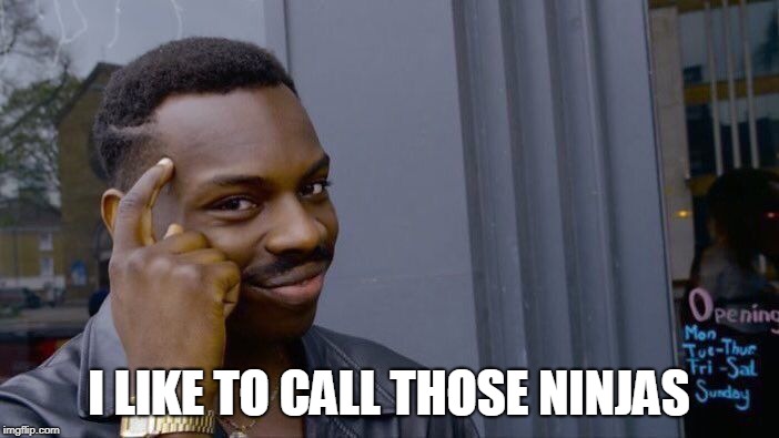 Roll Safe Think About It Meme | I LIKE TO CALL THOSE NINJAS | image tagged in memes,roll safe think about it | made w/ Imgflip meme maker