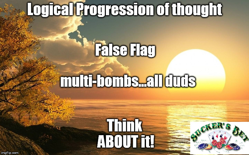 false flag, a dud | False Flag 
multi-bombs...all duds | image tagged in a dud | made w/ Imgflip meme maker