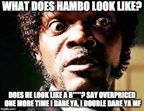 Samuel Jackson headshot | WHAT DOES HAMBO LOOK LIKE? DOES HE LOOK LIKE A B****? SAY OVERPRICED ONE MORE TIME I DARE YA, I DOUBLE DARE YA MF | image tagged in samuel jackson headshot | made w/ Imgflip meme maker