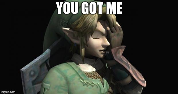 Link Facepalm | YOU GOT ME | image tagged in link facepalm | made w/ Imgflip meme maker