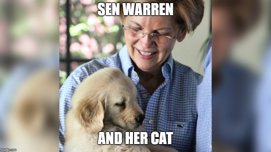SEN WARREN; AND HER CAT | made w/ Imgflip meme maker