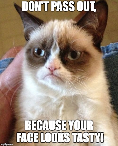 Don't do it | DON'T PASS OUT, BECAUSE YOUR FACE LOOKS TASTY! | image tagged in memes,grumpy cat,faces | made w/ Imgflip meme maker