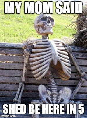 Waiting Skeleton | MY MOM SAID; SHED BE HERE IN 5 | image tagged in memes,waiting skeleton | made w/ Imgflip meme maker