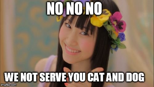 Rena Matsui | NO NO NO; WE NOT SERVE YOU CAT AND DOG | image tagged in memes,rena matsui | made w/ Imgflip meme maker