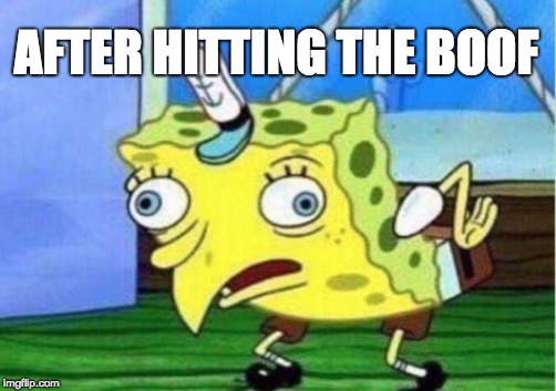 Mocking Spongebob Meme | AFTER HITTING THE BOOF | image tagged in memes,mocking spongebob | made w/ Imgflip meme maker