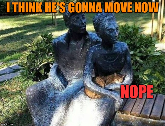 Now?  Nope. |  I THINK HE'S GONNA MOVE NOW; NOPE | image tagged in cat,statue,memes,funny | made w/ Imgflip meme maker