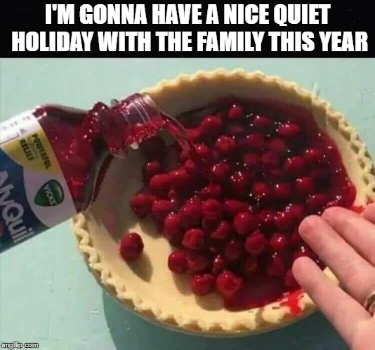 Weather they know it or not! | I'M GONNA HAVE A NICE QUIET HOLIDAY WITH THE FAMILY THIS YEAR | image tagged in holidays,random,family,pie,thanksgiving,christmas | made w/ Imgflip meme maker
