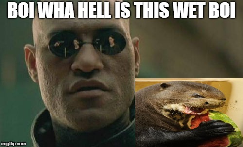 Matrix Morpheus Meme | BOI WHA HELL IS THIS WET BOI | image tagged in memes,matrix morpheus | made w/ Imgflip meme maker