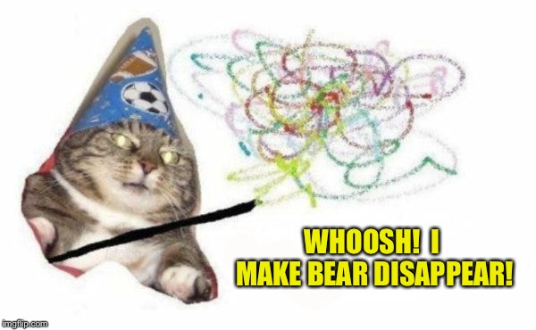 WHOOSH!  I MAKE BEAR DISAPPEAR! | made w/ Imgflip meme maker