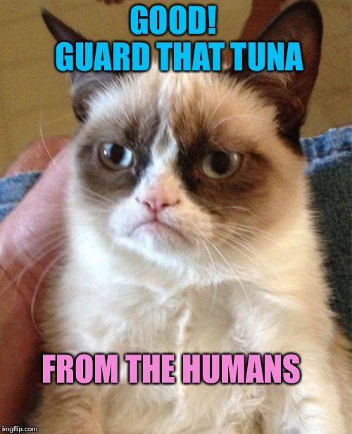 Grumpy Cat Meme | GOOD!  GUARD THAT TUNA FROM THE HUMANS | image tagged in memes,grumpy cat | made w/ Imgflip meme maker