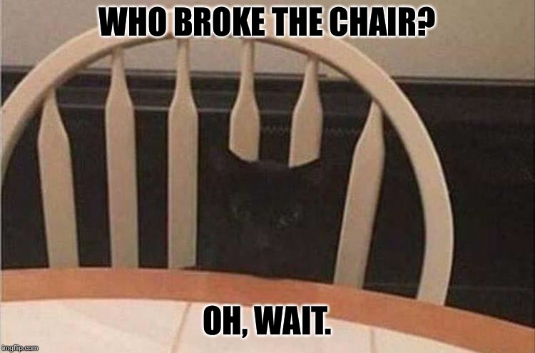Camo cat! | WHO BROKE THE CHAIR? OH, WAIT. | image tagged in chair,black cat,memes,funny | made w/ Imgflip meme maker