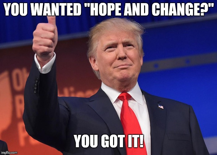 Donald Trump Kappas | YOU WANTED "HOPE AND CHANGE?"; YOU GOT IT! | image tagged in donald trump kappas | made w/ Imgflip meme maker