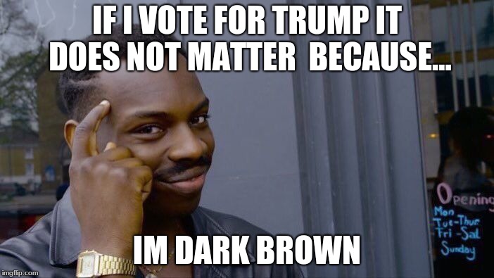 Roll Safe Think About It | IF I VOTE FOR TRUMP IT DOES NOT MATTER  BECAUSE... IM DARK BROWN | image tagged in memes,roll safe think about it | made w/ Imgflip meme maker
