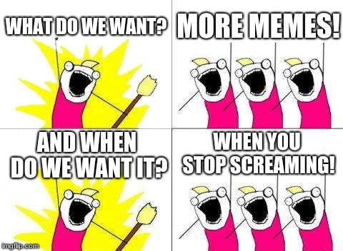 Innocent Irony | WHAT DO WE WANT? MORE MEMES! WHEN YOU STOP SCREAMING! AND WHEN DO WE WANT IT? | image tagged in memes,what do we want,ironic,lel | made w/ Imgflip meme maker