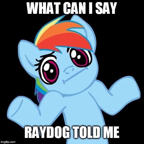 Pony Shrugs Meme | WHAT CAN I SAY RAYDOG TOLD ME | image tagged in memes,pony shrugs | made w/ Imgflip meme maker