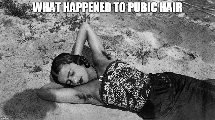 Pubic Hair | WHAT HAPPENED TO PUBIC HAIR | image tagged in pubic hair | made w/ Imgflip meme maker