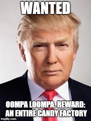 Donald Trump | WANTED; OOMPA LOOMPA. REWARD: AN ENTIRE CANDY FACTORY | image tagged in donald trump | made w/ Imgflip meme maker