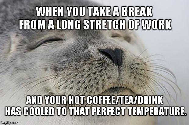Satisfied Seal Meme | WHEN YOU TAKE A BREAK FROM A LONG STRETCH OF WORK; AND YOUR HOT COFFEE/TEA/DRINK HAS COOLED TO THAT PERFECT TEMPERATURE. | image tagged in memes,satisfied seal,AdviceAnimals | made w/ Imgflip meme maker