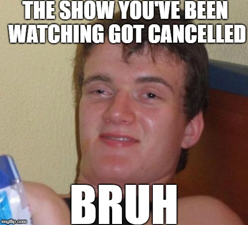 10 Guy Meme | THE SHOW YOU'VE BEEN WATCHING GOT CANCELLED; BRUH | image tagged in memes,10 guy | made w/ Imgflip meme maker