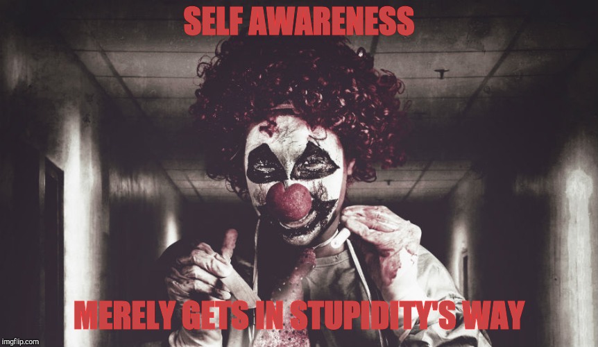 SELF AWARENESS MERELY GETS IN STUPIDITY'S WAY | made w/ Imgflip meme maker