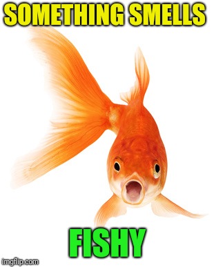 Goldfish | SOMETHING SMELLS FISHY | image tagged in goldfish | made w/ Imgflip meme maker