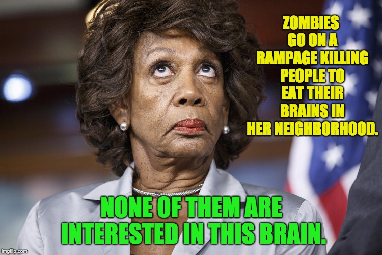 Maxine Water Korea | ZOMBIES GO ON A RAMPAGE KILLING PEOPLE TO EAT THEIR BRAINS IN HER NEIGHBORHOOD. NONE OF THEM ARE INTERESTED IN THIS BRAIN. | image tagged in maxine water korea | made w/ Imgflip meme maker