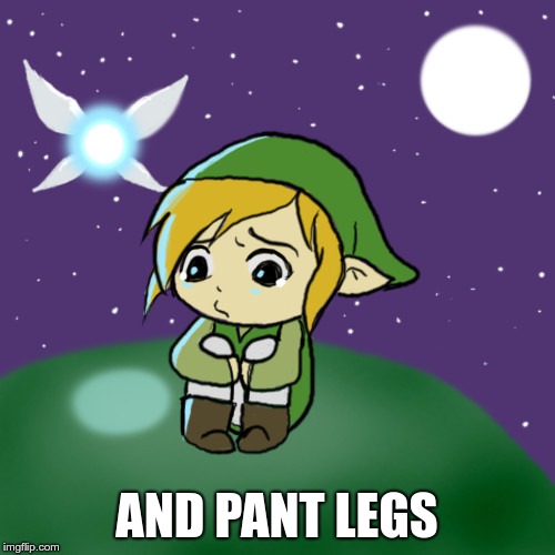 Sad Link | AND PANT LEGS | image tagged in sad link | made w/ Imgflip meme maker