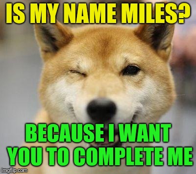 wink doge | IS MY NAME MILES? BECAUSE I WANT YOU TO COMPLETE ME | image tagged in wink doge | made w/ Imgflip meme maker