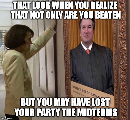 THAT LOOK WHEN YOU REALIZE THAT NOT ONLY ARE YOU BEATEN; BUT YOU MAY HAVE LOST YOUR PARTY THE MIDTERMS | image tagged in feinstein,kavanugh | made w/ Imgflip meme maker