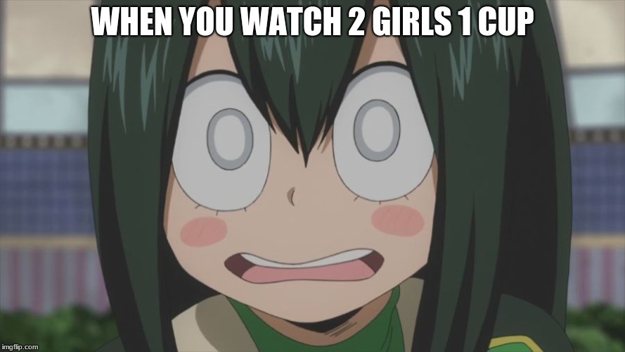 Shocked froppy | WHEN YOU WATCH 2 GIRLS 1 CUP | image tagged in shocked froppy | made w/ Imgflip meme maker