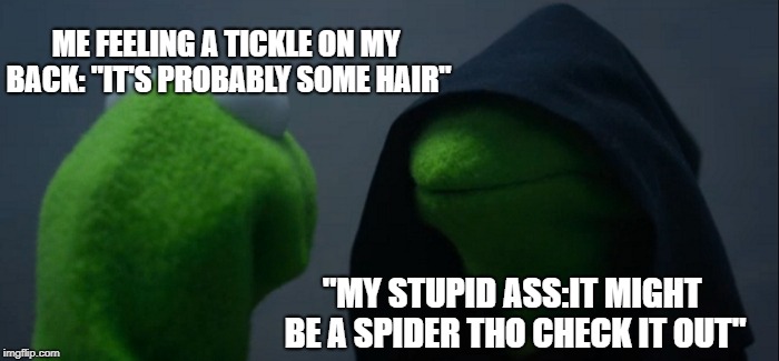 when my stupid brain messes with me | ME FEELING A TICKLE ON MY BACK:
"IT'S PROBABLY SOME HAIR"; "MY STUPID ASS:IT MIGHT BE A SPIDER THO CHECK IT OUT" | image tagged in memes,evil kermit | made w/ Imgflip meme maker