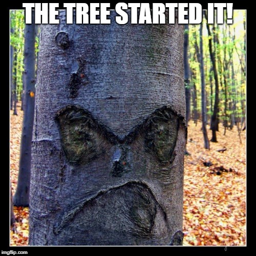 THE TREE STARTED IT! | made w/ Imgflip meme maker