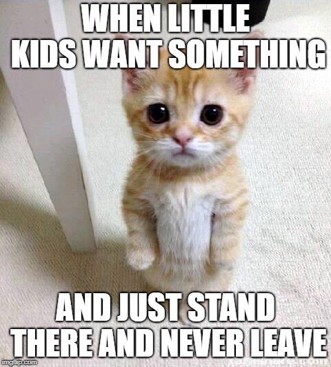 Cute Cat Meme | WHEN LITTLE KIDS WANT SOMETHING; AND JUST STAND THERE AND NEVER LEAVE | image tagged in memes,cute cat | made w/ Imgflip meme maker