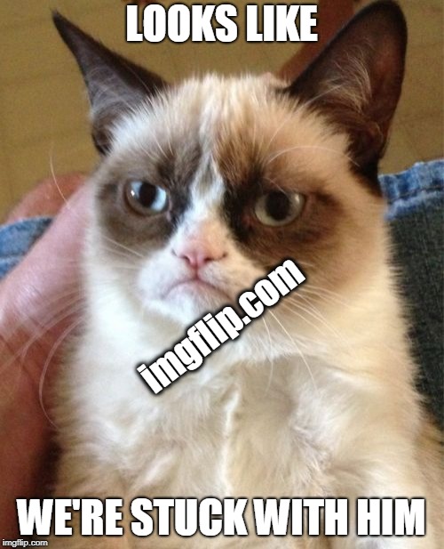 Grumpy Cat Meme | LOOKS LIKE WE'RE STUCK WITH HIM imgflip.com | image tagged in memes,grumpy cat | made w/ Imgflip meme maker