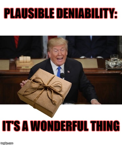 It wasn't me.  | PLAUSIBLE DENIABILITY:; IT'S A WONDERFUL THING | image tagged in donald trump,impeach trump | made w/ Imgflip meme maker