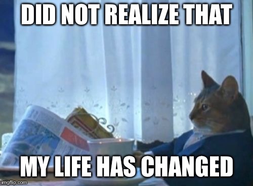 I Should Buy A Boat Cat Meme | DID NOT REALIZE THAT MY LIFE HAS CHANGED | image tagged in memes,i should buy a boat cat | made w/ Imgflip meme maker