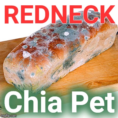 Ch Ch Ch Chia! | REDNECK; Chia Pet | image tagged in chia pet,rednecks,redneck,gross,nasty,justjeff | made w/ Imgflip meme maker
