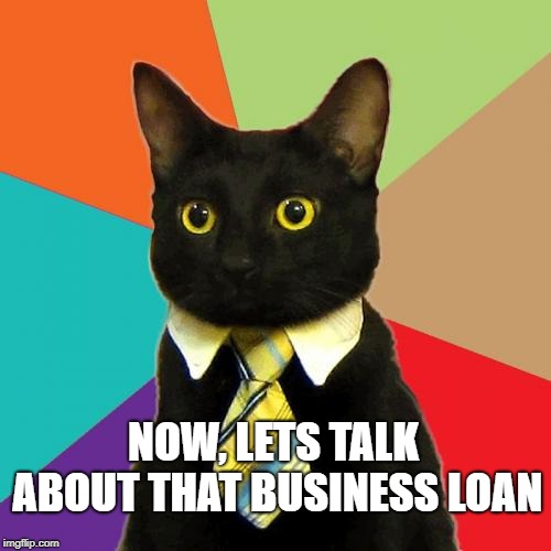 Business Cat Meme |  NOW, LETS TALK ABOUT THAT BUSINESS LOAN | image tagged in memes,business cat | made w/ Imgflip meme maker