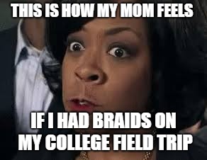 Mom is angry about my braids |  THIS IS HOW MY MOM FEELS; IF I HAD BRAIDS ON MY COLLEGE FIELD TRIP | image tagged in rochelle rock,hair,mom,college,anger | made w/ Imgflip meme maker