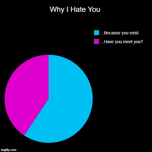 Why I Hate You | ...Have you meet you?, ...Because you exist | image tagged in funny,pie charts | made w/ Imgflip chart maker