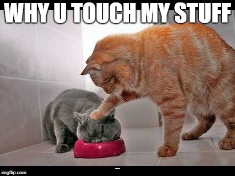 cat meme | WHY U TOUCH MY STUFF; MADE BY KING_KRAKIN | image tagged in cats | made w/ Imgflip meme maker