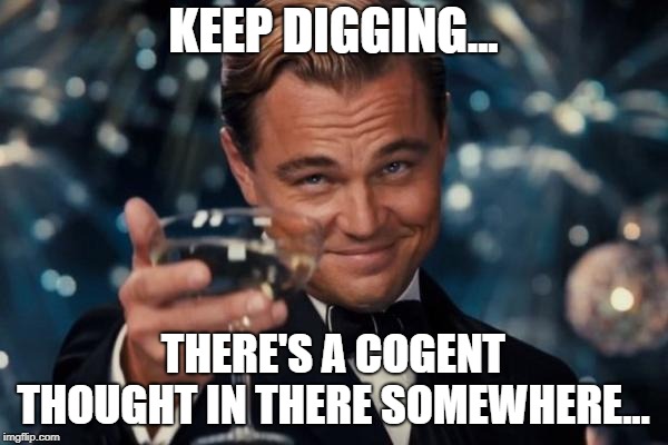 Leonardo Dicaprio Cheers Meme | KEEP DIGGING... THERE'S A COGENT THOUGHT IN THERE SOMEWHERE... | image tagged in memes,leonardo dicaprio cheers | made w/ Imgflip meme maker