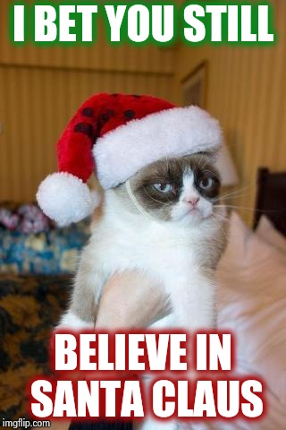 Grumpy Cat Christmas Meme | I BET YOU STILL BELIEVE IN SANTA CLAUS | image tagged in memes,grumpy cat christmas,grumpy cat | made w/ Imgflip meme maker